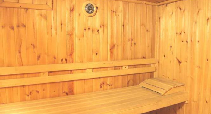Residence Villa Frejus, Bardonecchia ski chalet, image 7
